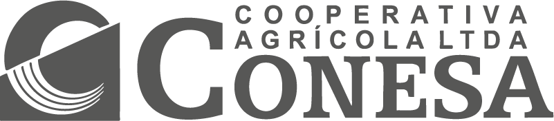 Marcconesaopolo